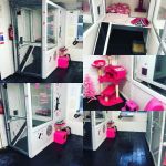 Victoria cattery