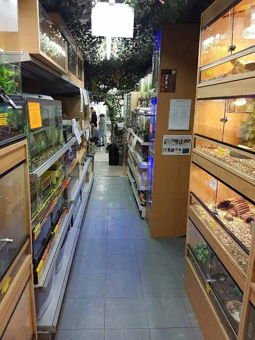 Lincoln Reptiles ltd Picture 2