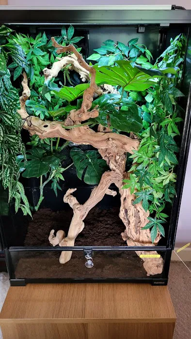 Lincoln Reptiles ltd Picture 3