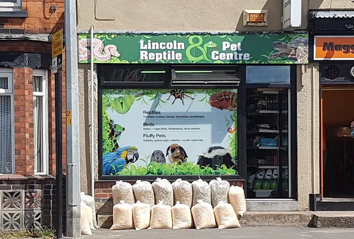 Lincoln Reptiles ltd Picture 1