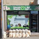 Lincoln Reptiles ltd