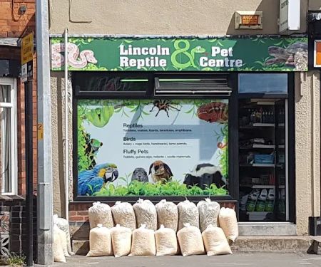 Lincoln Reptiles ltd