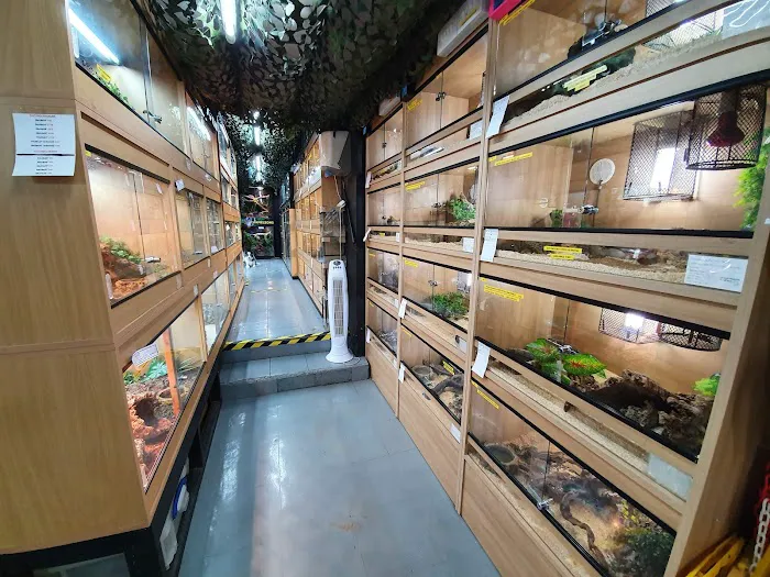 Lincoln Reptiles ltd Picture 4