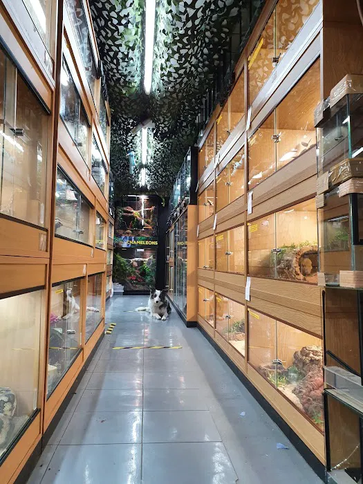 Lincoln Reptiles ltd Picture 7