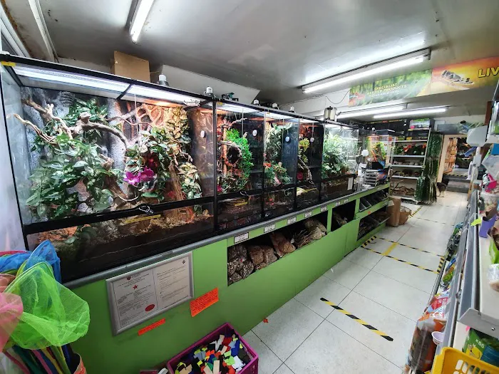 Lincoln Reptiles ltd Picture 10