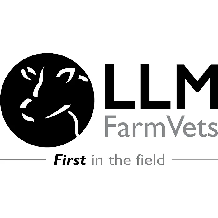 LLM Farm Vets, Higham Picture 2