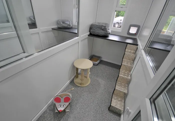 Rhoden Manor Cattery 5-STAR Picture 8