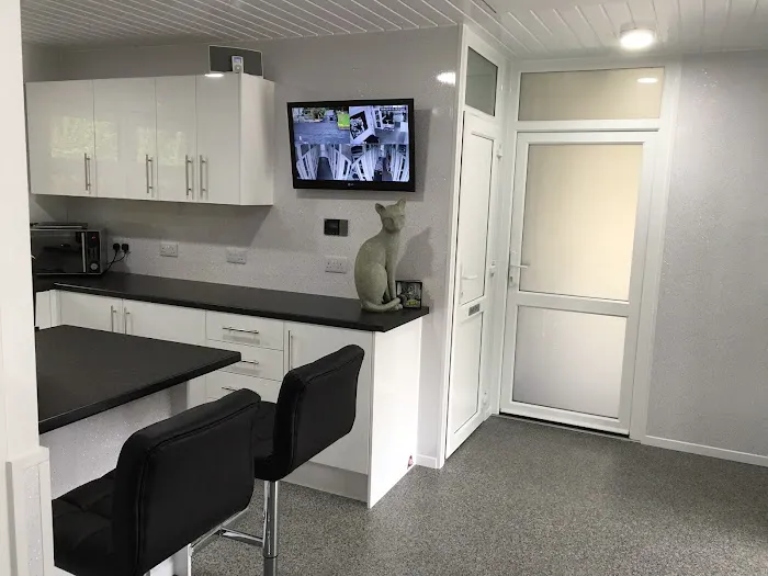 Rhoden Manor Cattery 5-STAR Picture 10