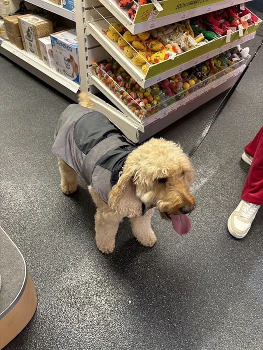 Pets Corner Picture 3