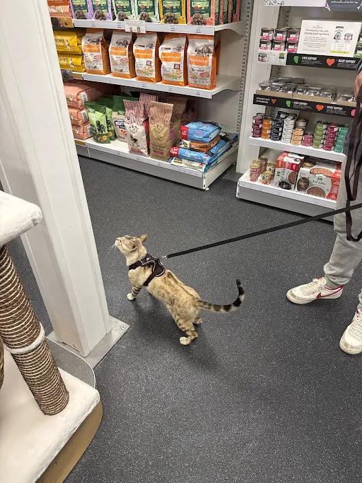 Pets Corner Picture 5