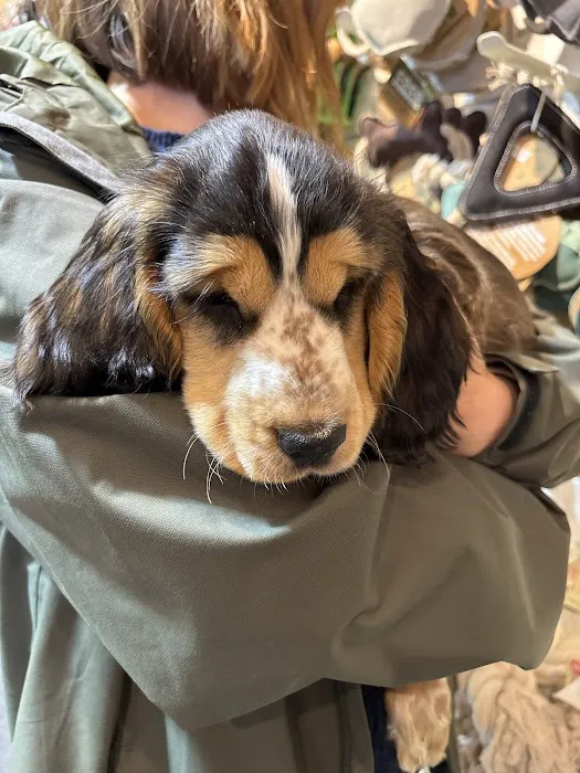 Pets Corner Picture 8