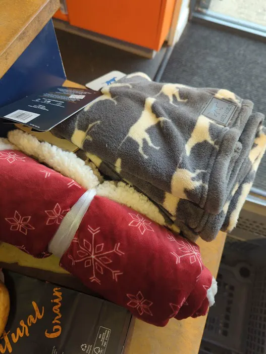 Pets Corner Picture 9