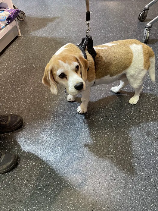 Pets Corner Picture 10