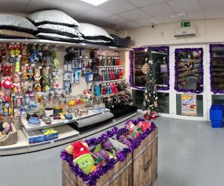 Family Tree Pet Supplies