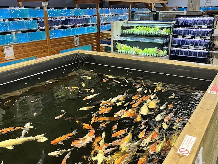 Maidenhead Aquatics Lincoln Picture 1