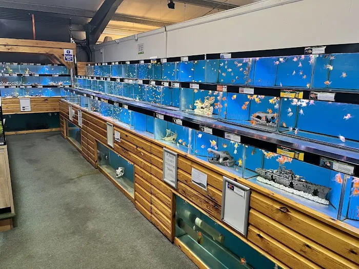 Maidenhead Aquatics Lincoln Picture 2