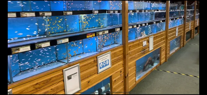 Maidenhead Aquatics Lincoln Picture 3