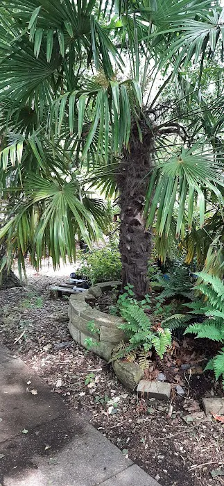 Maidenhead Aquatics Lincoln Picture 6