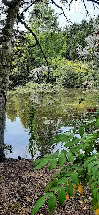 Maidenhead Aquatics Lincoln Picture 7