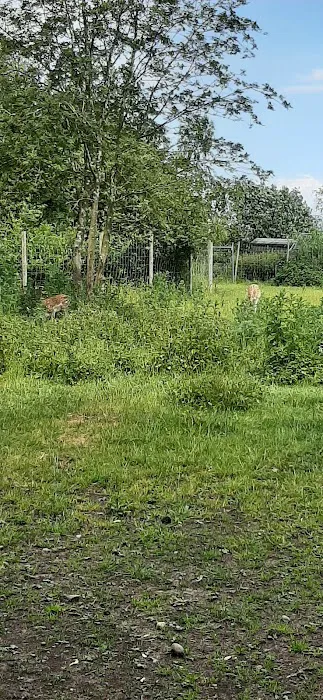 Maidenhead Aquatics Lincoln Picture 10