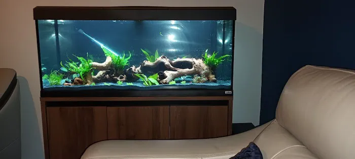 Maidenhead Aquatics Lincoln Picture 9