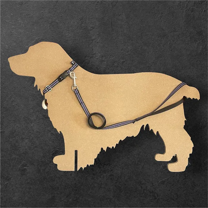 Meg K9 Custom Dog Leads Picture 6