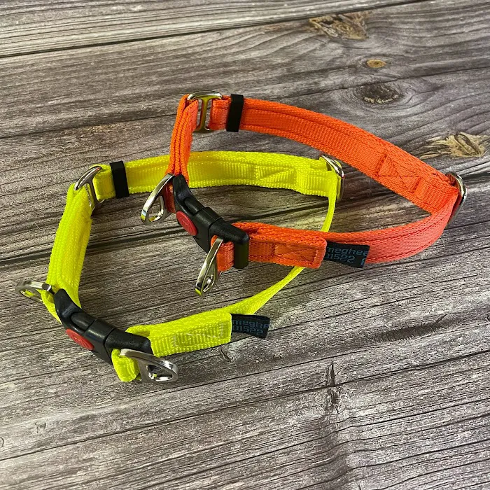 Meg K9 Custom Dog Leads Picture 10