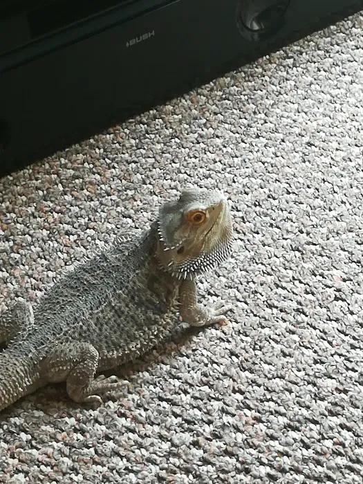 The Creepy Creatures Shop Picture 4