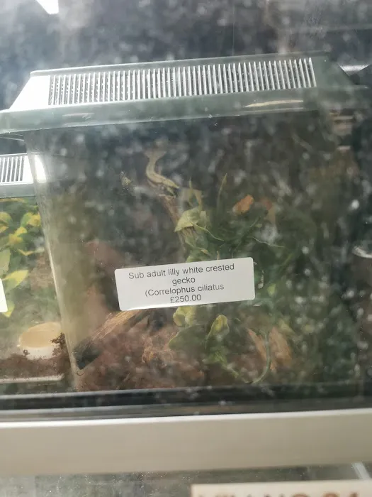 The Creepy Creatures Shop Picture 7