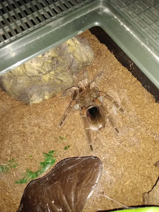 The Creepy Creatures Shop Picture 6