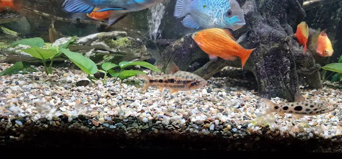 Waterlife & Pets Picture 2