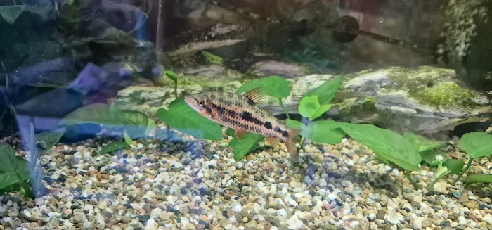 Waterlife & Pets Picture 3