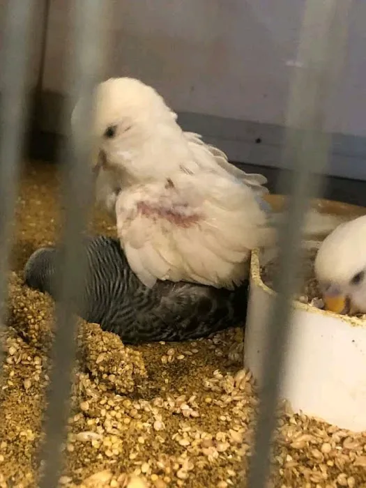 Waterlife & Pets Picture 4