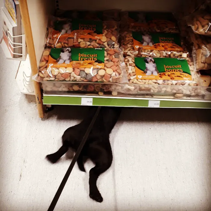 Pets at Home Burnley Picture 4