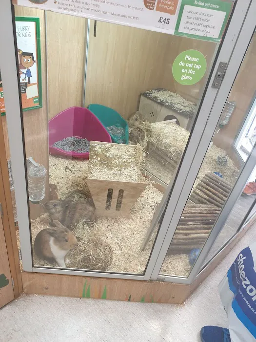 Pets at Home Burnley Picture 6