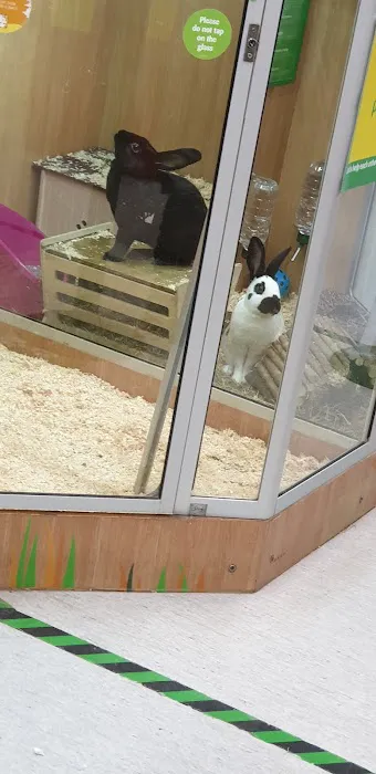 Pets at Home Burnley Picture 9