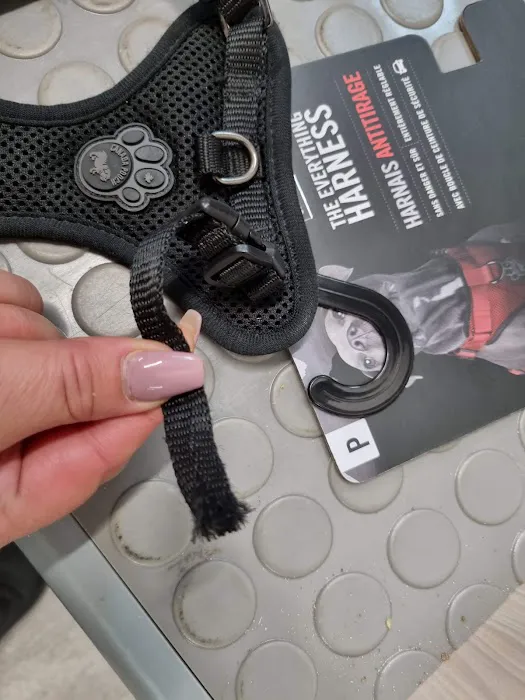 Pets at Home Burnley Picture 10