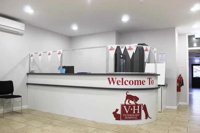 The Veterinary Hospital - Skellingthorpe Surgery Picture 2