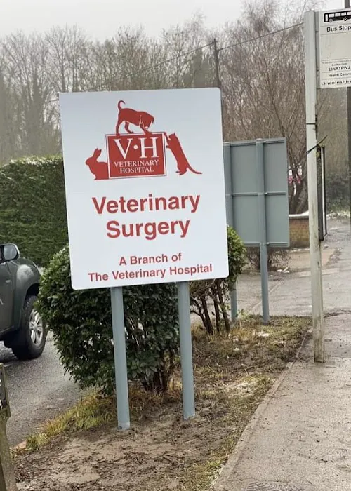 The Veterinary Hospital - Skellingthorpe Surgery Picture 7