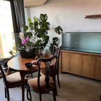 Zafs Aquatics and Pet supplies ico