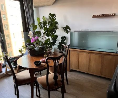 Zafs Aquatics and Pet supplies