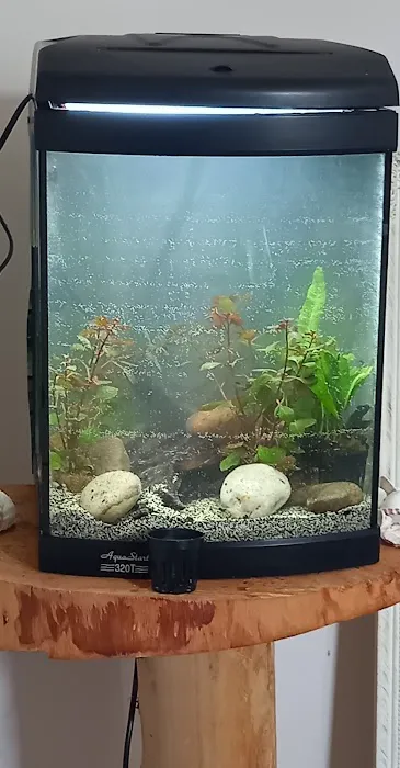 Zafs Aquatics and Pet supplies Picture 4