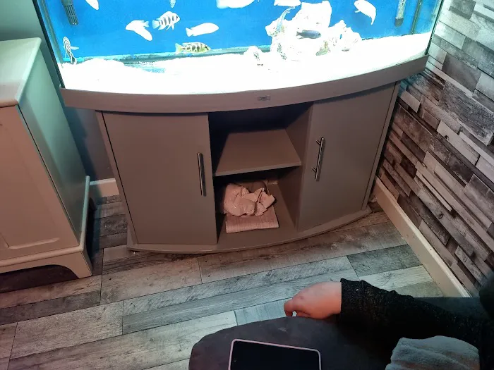 Zafs Aquatics and Pet supplies Picture 5