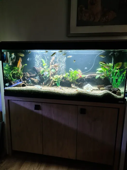 Zafs Aquatics and Pet supplies Picture 7