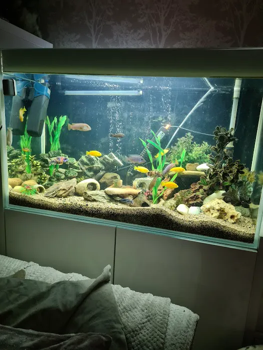 Zafs Aquatics and Pet supplies Picture 6