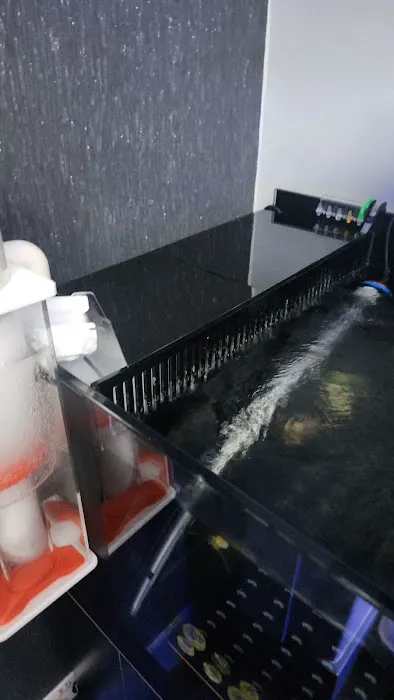 Zafs Aquatics and Pet supplies Picture 10