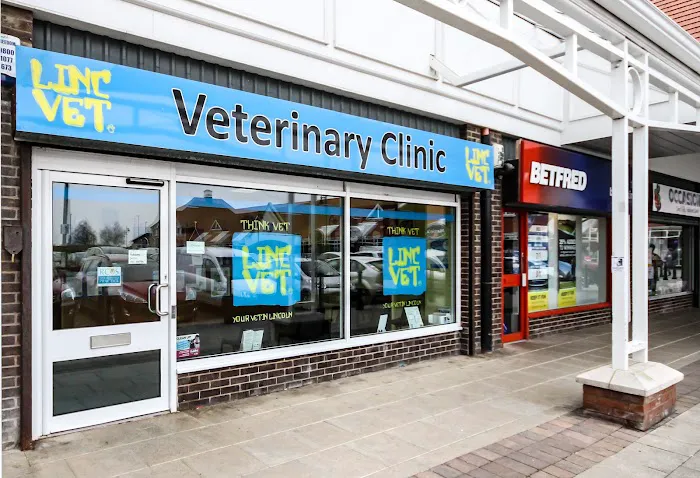 Lincvet Picture 10