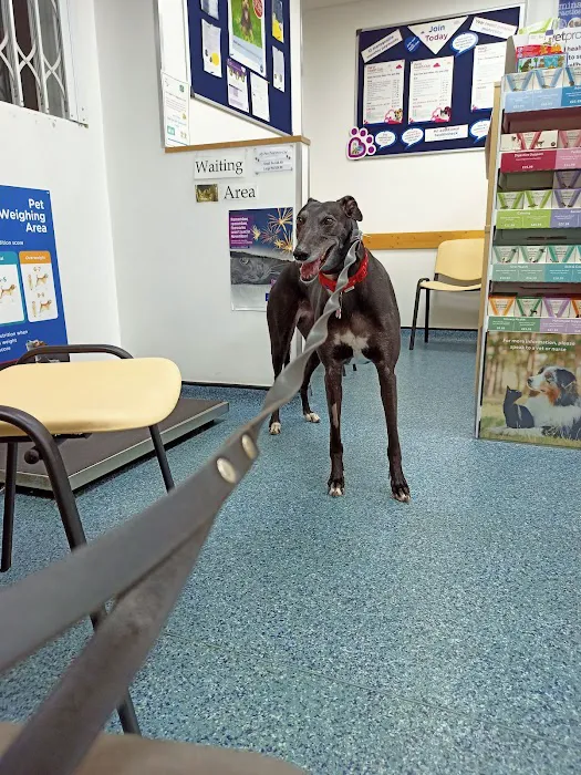 Lincvet Picture 10