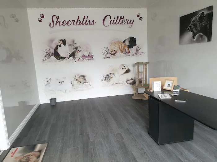 Sheerbliss Cattery Picture 6