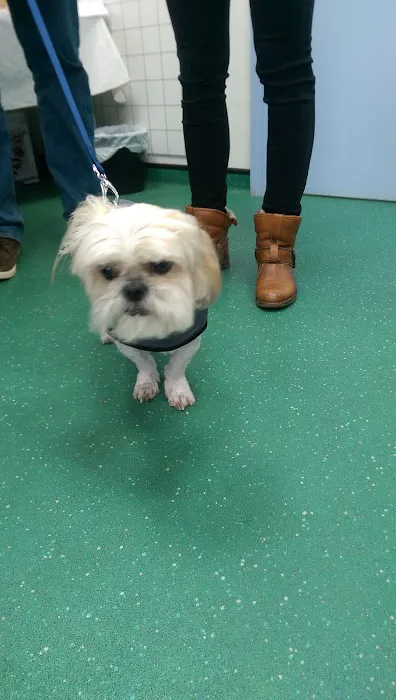 Clare Vet Group Carrickfergus Picture 10